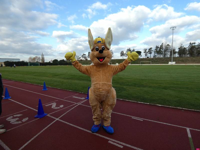 mascotte